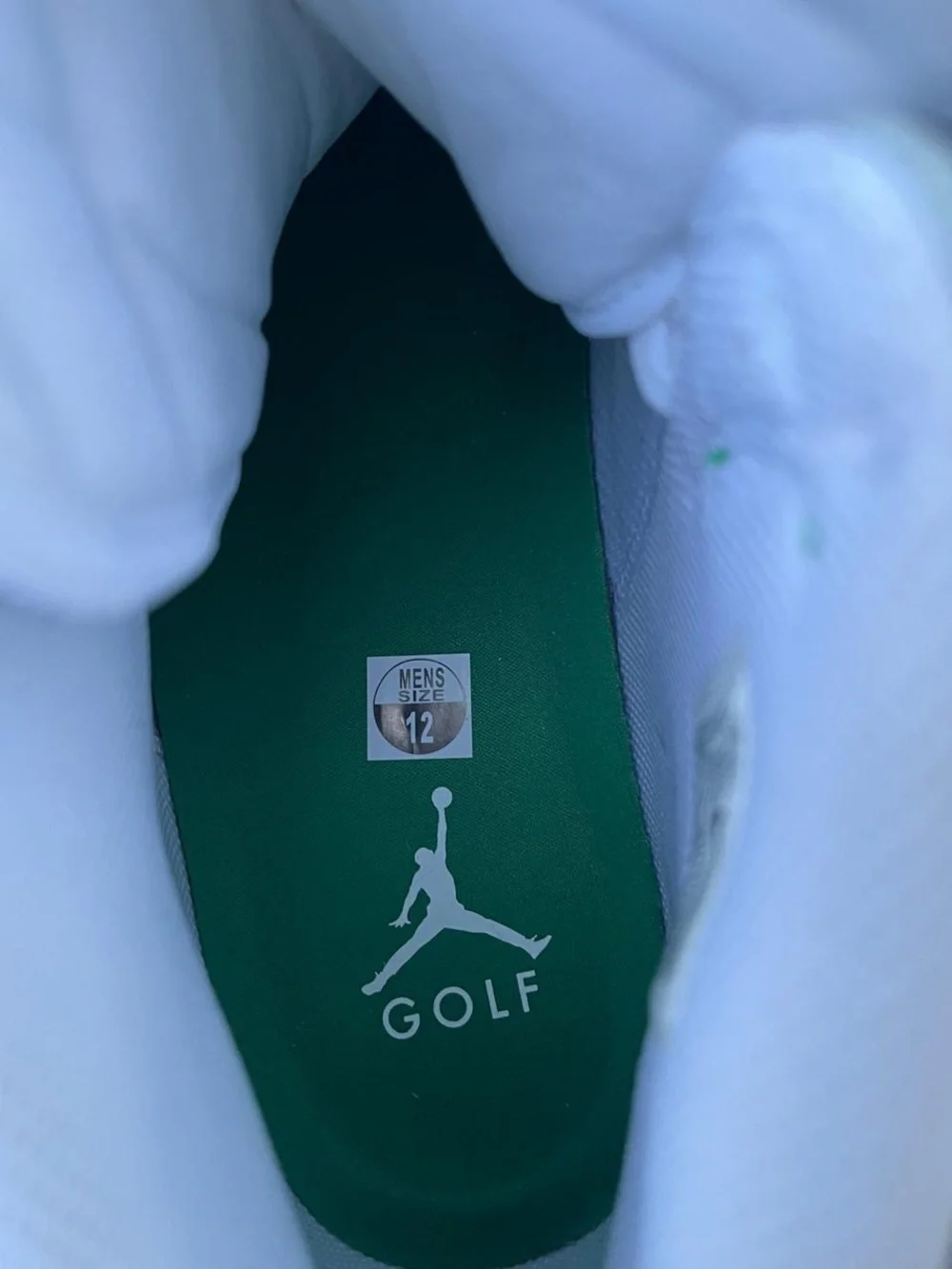 Air Jordan 1 High Golf Metallic Green Size 12 Men's Shoes NIB